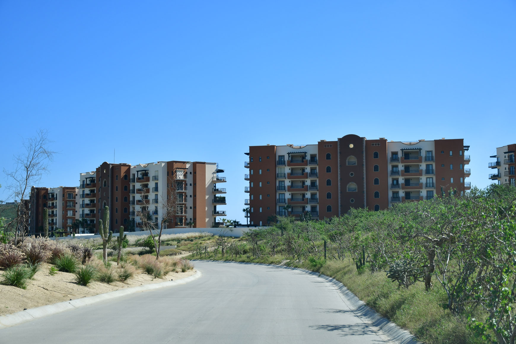 Copala Quivira